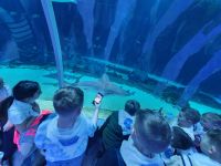 2772e13a-a4e9-403d-bc60-c112025a7b89