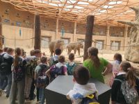 c76fc651-6a9f-4698-8711-f7a24dd6aed5