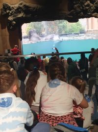 a80a9a25-7645-4321-9510-f121365b23ea